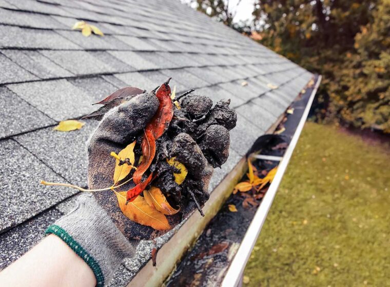 gutter-cleaning-company-in-Chicago-web