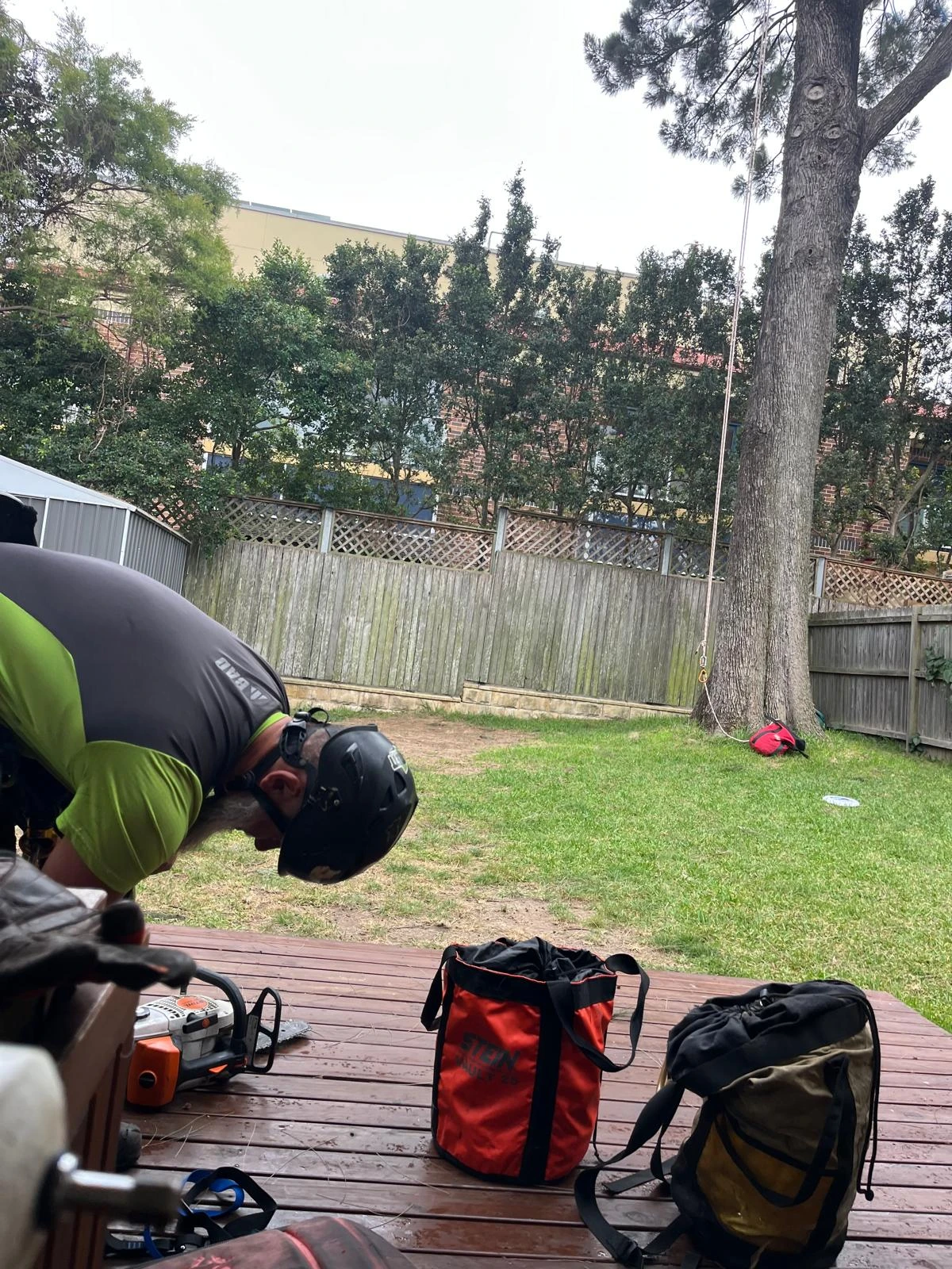 Tree Removal Sydney & Qualified Arborists | NSW Tree Works